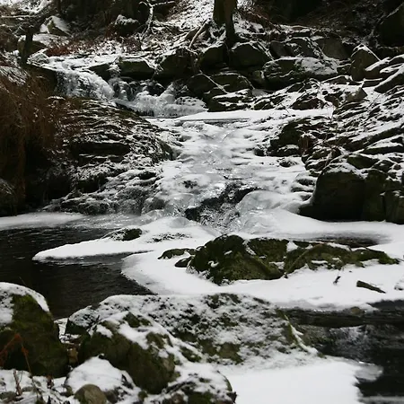 Ferienhaus Thayahof Διαμέρισμα *