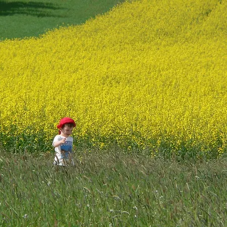 Ferienhaus Thayahof Διαμέρισμα Waidhofen an der Thaya