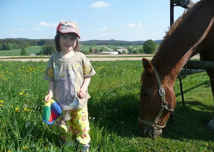 アパート Ferienhaus Thayahof ヴァイトホーフェン・アン・デア・ターヤ