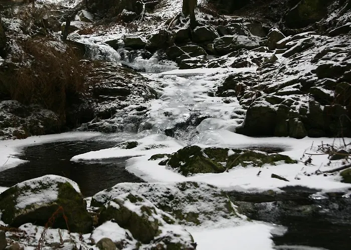 Ferienhaus Thayahof Апартаменты *