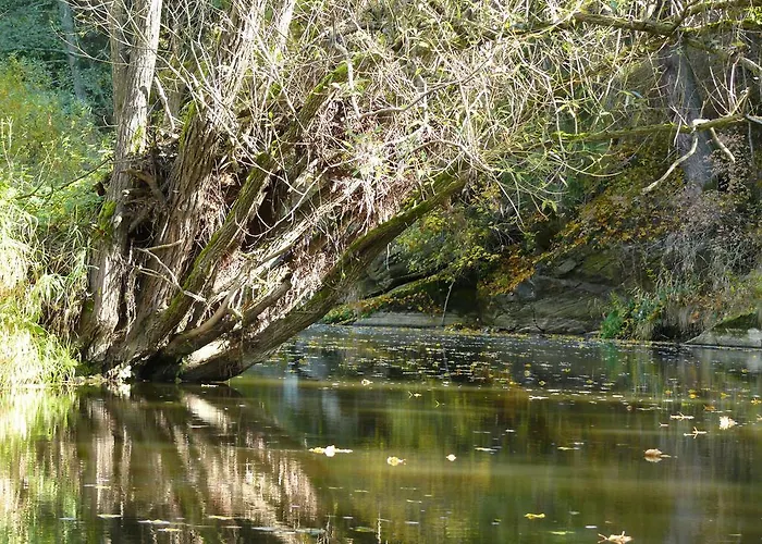 アパート Ferienhaus Thayahof ヴァイトホーフェン・アン・デア・ターヤ