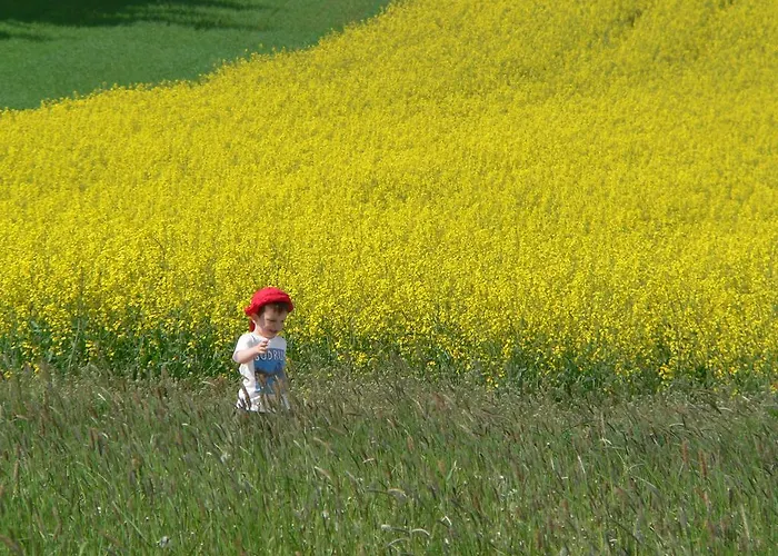 Ferienhaus Thayahof アパート ヴァイトホーフェン・アン・デア・ターヤ